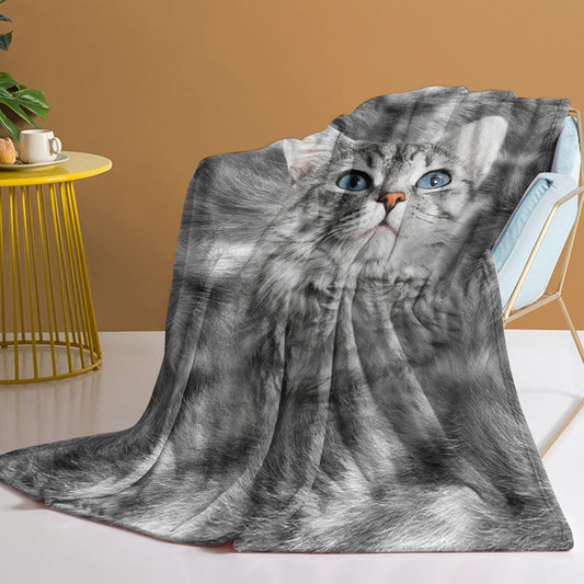 Blanket with a cat design draped over a surface, with a blurred background
