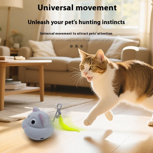 Cat playing with a toy in a living room setting