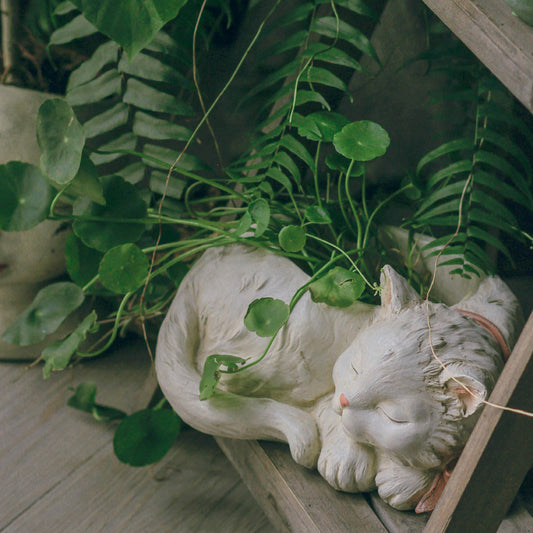 White stone cat sculpture among green plants
