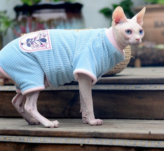 Sphynx cat wearing a light blue sweater with a decorative patch on a wooden deck.