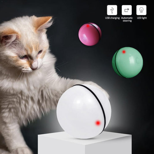 Cat playing with a self-spinning ball toy with LED light on a dark background